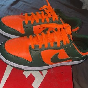 Nike air Dunks FAMU
